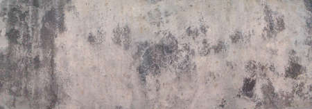 Stock Photo - Dirty mold or fungus with dry black moss on the surface of a gray polished plaster wall.の写真素材