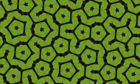 Abstract seamless pattern of geometric art line shapes.Art line pentagon shapes of green plants black background.の写真素材