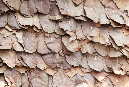 leaves wall house north Thailandの写真素材
