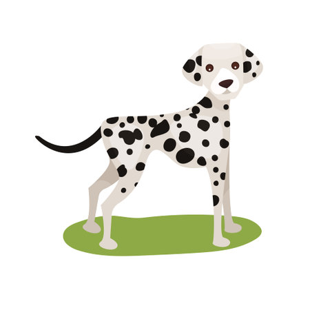 Dalmatian dog, purebred pet animal standing on green grass colorful Illustration.のイラスト素材