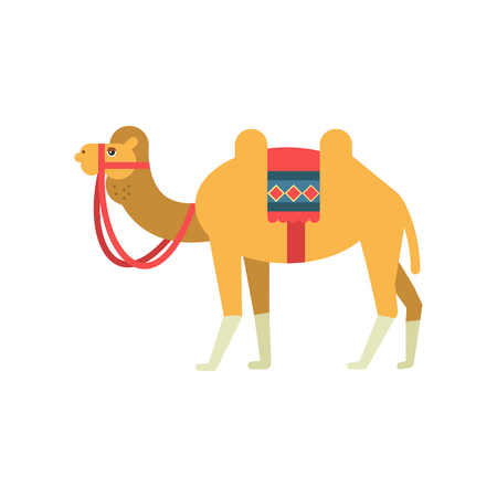 Camel whit saddle and cover on the back, two humped desert animal, symbol of traditional Egyptian culture vector Illustrationの写真素材