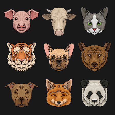 Wild and domestic animals set, heads of pig, cow, bulldog, cat, bear, pug, tiger, fox hand drawn...