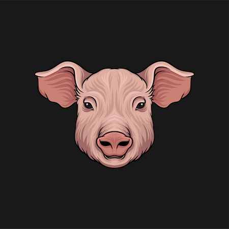 Head of pig, face of of farm animal hand drawn vector Illustrationのイラスト素材