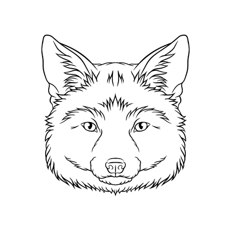 Black and white sketch of fox head, face of wild animal hand drawn vector Illustrationのイラスト素材