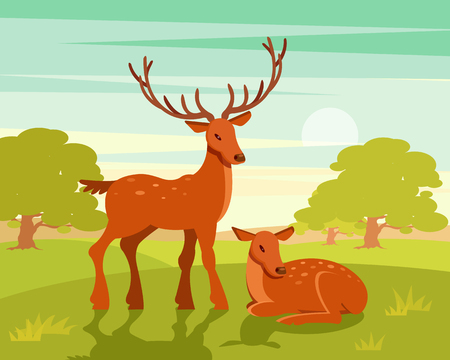 Summer wildlife landscape, couple of deers on green forest background vector Illustrationのイラスト素材