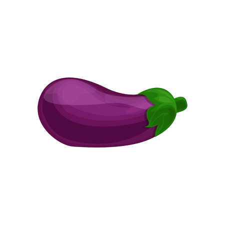 Eggplant vegetable cartoon vector Illustration on a white backgroundのイラスト素材