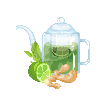 Natural green herbal tea in a glass transparent teapot with fresh lime and ginger vector Illustration on a white backgroundのイラスト素材