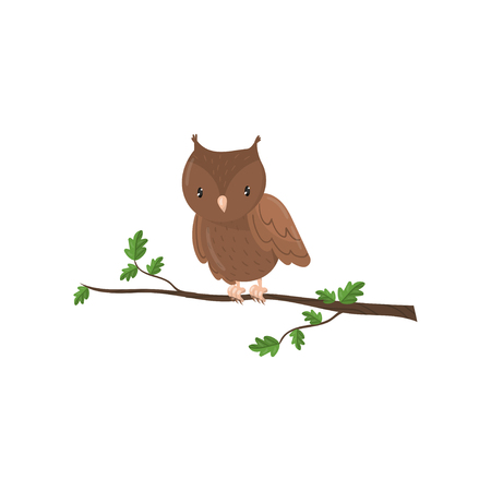 Cute owl woodland cartoon bird vector Illustrationのイラスト素材