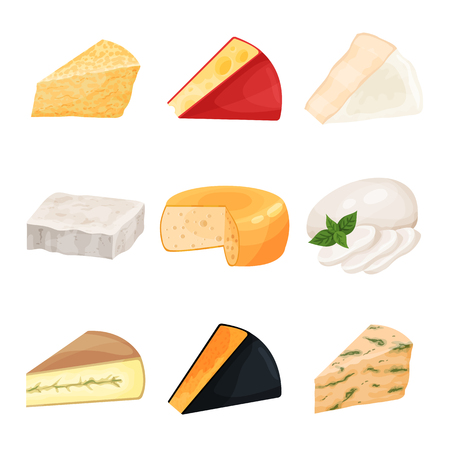 Set of various cheese, dairy products cartoon vector Illustrationsのイラスト素材
