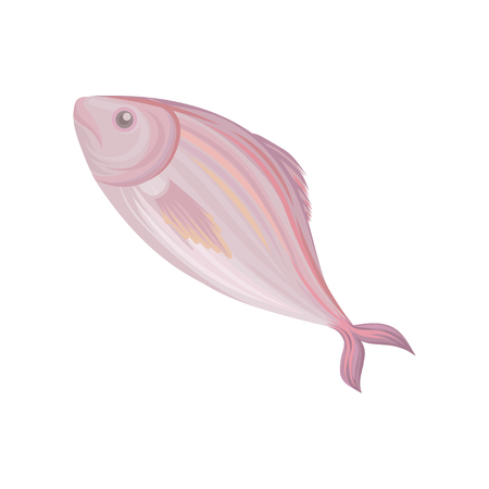 Cartoon icon of freshwater fish, seafood concept. Graphic design element for recipe book, restaurant menu or product packaging flat vector illustration.のイラスト素材
