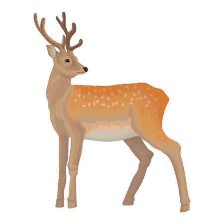 Deer wild northern forest animal vector Illustration isolated on a white background.のイラスト素材