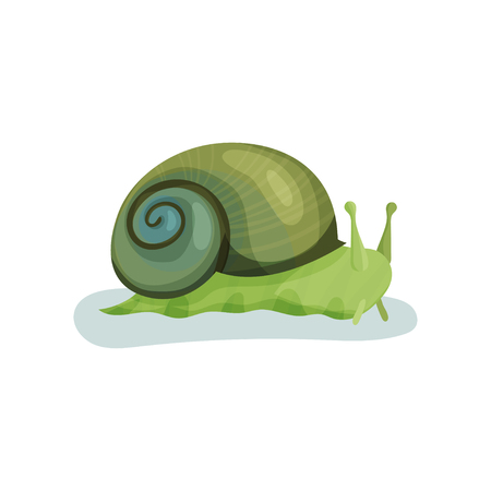 Green snail gastropod mollusk with green shell vector Illustration isolated on a white background.のイラスト素材