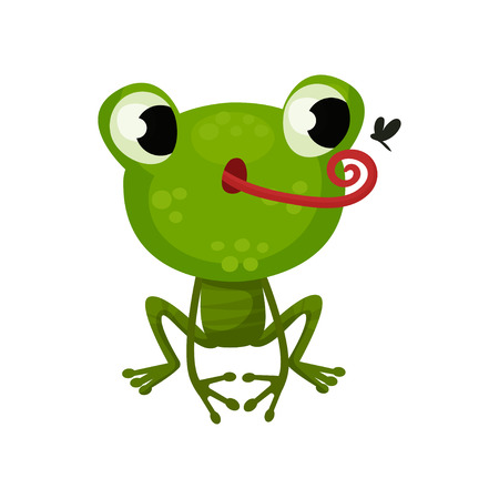 Cute frog hunting on mosquito. Flat vector icon of funny green toad. Cartoon character of amphibian animalのイラスト素材