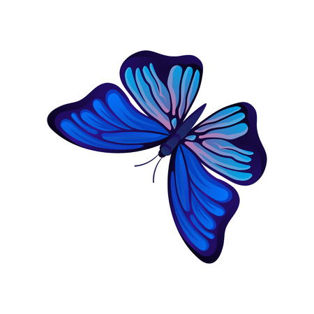Illustration of bright butterfly. Flying insect with two pairs of wings with beautiful pattern. Graphic design for wall decor, textile or postcard. Colorful vector icon isolated on white background.のイラスト素材