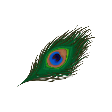 Beautiful emerald-green feather of peacock. Plumage of wild bird. Detaiked flat vector element for print, promo poster or flyerのイラスト素材