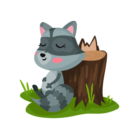 Cute raccoon sitting on green grass near tree stump and stroking his belly. Wild forest animal. Flat vector for children book or stickerのイラスト素材