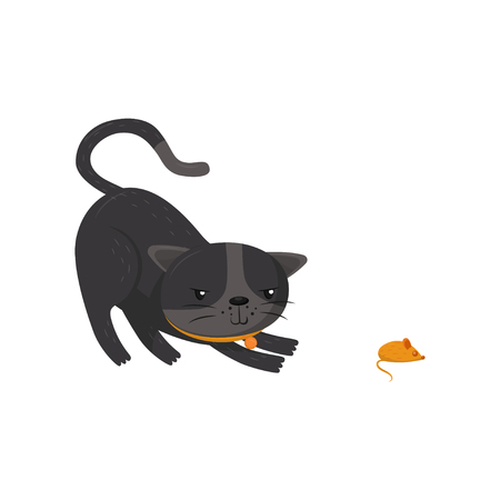 Gray cat hunting on mouse. Pet with shiny eyes and orange collar. Cartoon character of domestic animal. Flat vector for poster or bannerのイラスト素材