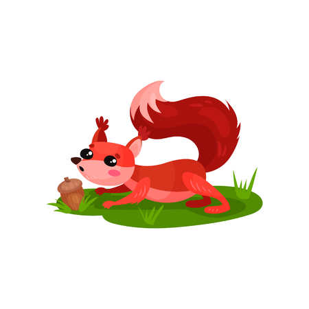 Adorable red squirrel found acorn in grass. Forest rodent with shiny eyes and pink cheeks. Flat vector of small animal with fluffy tailのイラスト素材