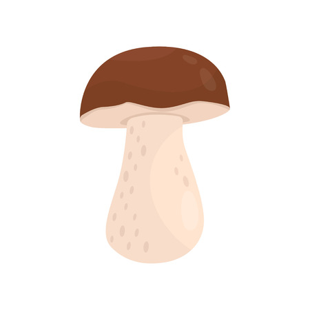 Boletus or porcini mushroom with brown cap. Forest delicacy. Cooking ingredient. Flat vector element for book or posterのイラスト素材