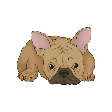 Adorable puppy of boston terrier in lying down pose. Dog with wrinkled muzzle, brown smooth coat and pink ears. Cartoon vector iconのイラスト素材