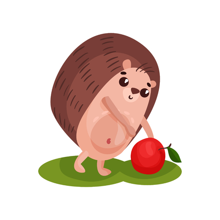 Cute hedgehog and red apple, funny animal cartoon character vector Illustration on a white backgroundのイラスト素材