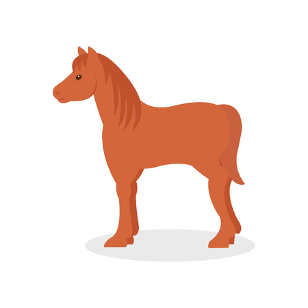 Brown horse, farm animal vector Illustration isolated on a white background.のイラスト素材