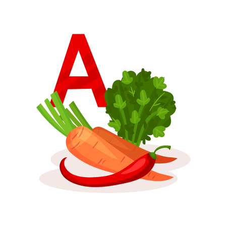 Products with lots of vitamin A carrot, red pepper and kale. Natural and healthy food. Organic nutrition. Design for infographic poster. Colorful vector illustration in flat style isolated on white.のイラスト素材