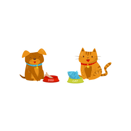 Funny dog and cat eating food, cute domestic pet animals cartoon characters, best friends vector Illustration isolated on a white background.のイラスト素材