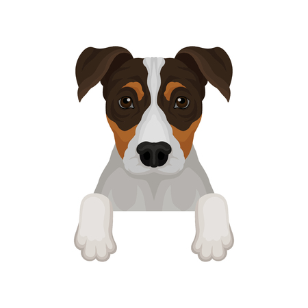 Jack russell terrier hanging on invisible fence. Dog with adorable muzzle. Flat vector for poster or banner of pet shopのイラスト素材