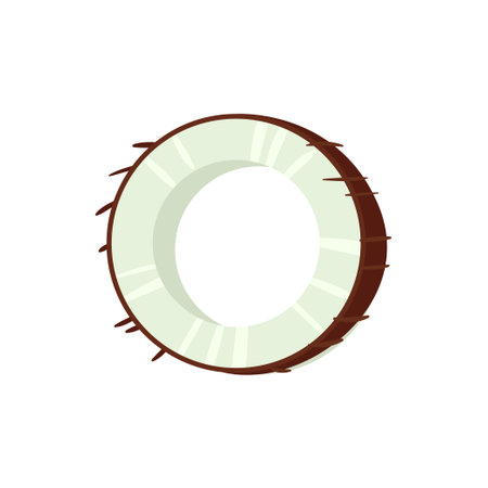 O letter of English alphabet made from coconut vector Illustration isolated on a white background.のイラスト素材