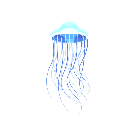 Transparent jellyfish, beautiful sea creature vector Illustration isolated on a white background.のイラスト素材