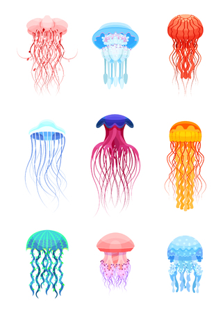 Jellyfishes set, beautiful sea creatures of different colors vector Illustrations isolated on a white background.のイラスト素材
