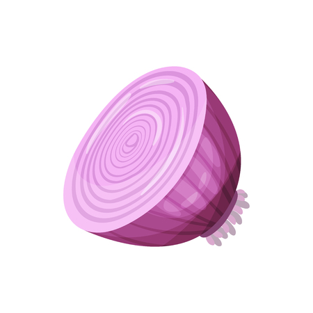Red onion, fresh vegetable vector Illustration isolated on a white background.のイラスト素材