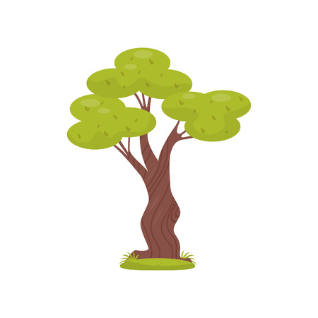 Green tree, element of tropical jungle forest landscape vector Illustration isolated on a white background.のイラスト素材