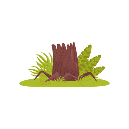Old stump, element of tropical jungle forest landscape vector Illustration isolated on a white background.のイラスト素材