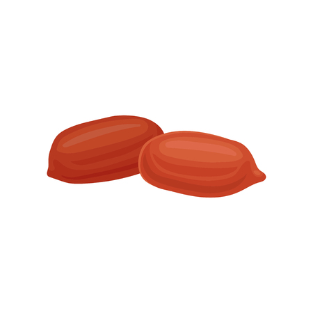 Whole ripe brown peanuts vector Illustration on a white backgroundのイラスト素材