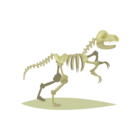 Flat vector icon of dinosaur skeleton. Tyrannosaurus Rex. Bones of prehistoric reptile. Fossil exhibit. Ancient museum objectのイラスト素材