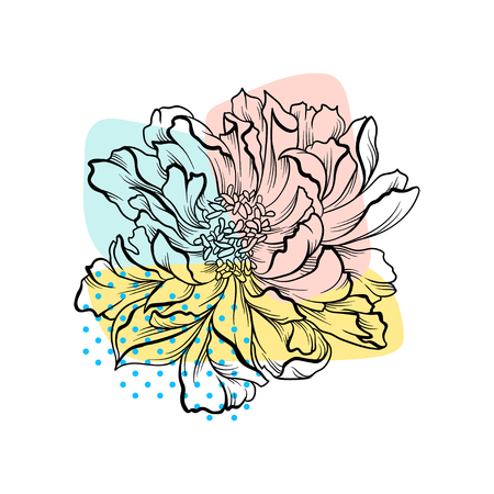 Beautiful hand drawn flower with colorful abstract backdrop. Flowering peony in linear style. Graphic element for textile, advertising flyer or poster. Vector illustration isolated on white backgroundのイラスト素材