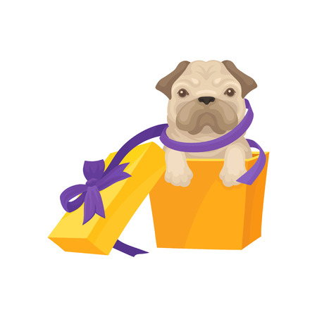 Funny pug puppy get out of bright orange gift box with purple bow. Christmas gift. Adorable dog. Domestic animal. Graphic element for postcard. Flat vector illustration isolated on white background.のイラスト素材