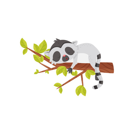 Adorable lemur sleeping on tree branch with green leaves. Exotic animal with long striped tail. Cute cartoon character. Graphic element for children book. Flat vector icon isolated on white backgroundのイラスト素材