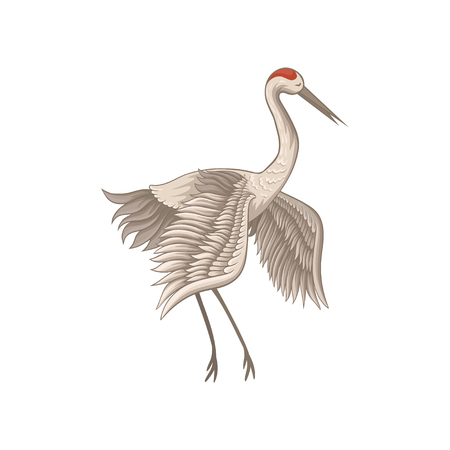 Illustration of beautiful red-crowned crane standing isolated on white background. Bird with long beak, legs and neck. Wildlife theme. Decorative graphic element for book or poster. Flat vector designのイラスト素材