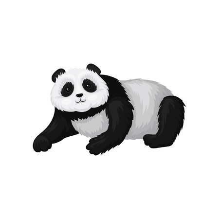 Cute panda with shiny eyes lying on the ground. Bamboo bear with fluffy black and white fur. Exotic animal. Graphic element for poster of zoo park. Flat vector design isolated on white background.のイラスト素材