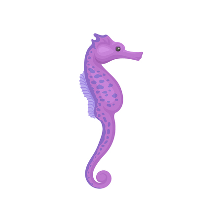 Bright purple seahorse with small spots. Marine animal. Sea and ocean life. Flat vector designの写真素材