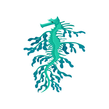 Small weedy sea dragon. Turquoise seahorse. Marine creature with long snout. Exotic sea animal. Flat vector iconの写真素材