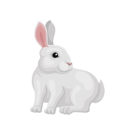 Small white rabbit sitting and looking around, side view. Animal with long ears and short tail. Cute home pet. Graphic element for postcard or banner. Flat vector design isolated on white background.のイラスト素材