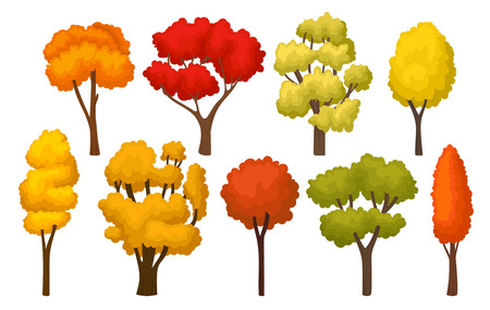 Collection of autumn trees with bright red, green and orange leaves. Forest plants. Botany and nature theme. Graphic design for mobile game. Colorful flat vector icons isolated on white background.のイラスト素材