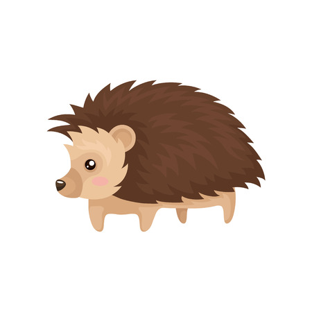 Lovely hedgehog prickly animal cartoon character vector Illustration isolated on a white background.のイラスト素材
