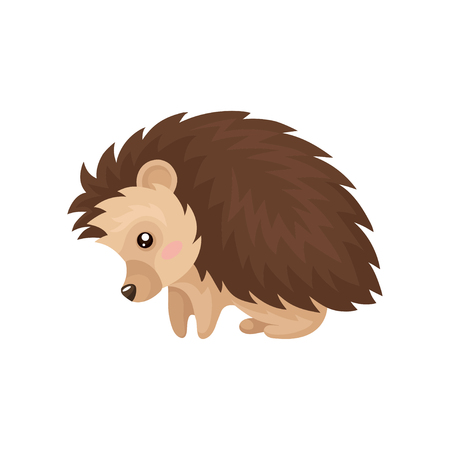 Cute hedgehog, lovely prickly animal cartoon character vector Illustration isolated on a white background.のイラスト素材
