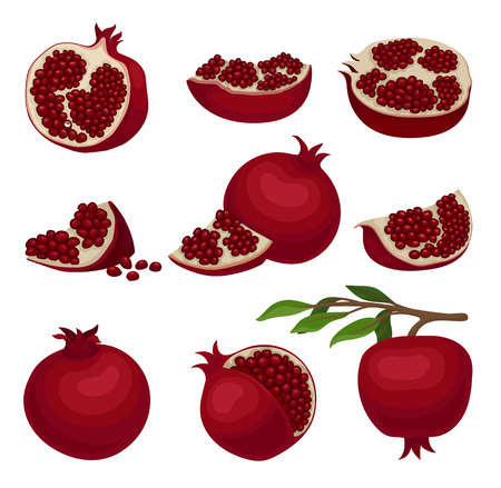 Set of red ripe pomegranates. Healthy food. Delicious fruit full of juicy seeds. Organic product. Graphic elements for product packaging or promo poster. Flat vector icons isolated on white backgroundのイラスト素材