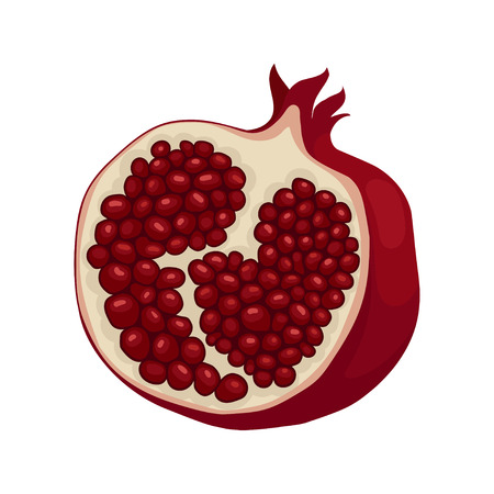 Half of ripe pomegranate. Fruit with sweet juicy seeds. Organic and tasty food. Healthy nutrition. Graphic element for promo poster or banner. Colorful flat vector design isolated on white background.のイラスト素材